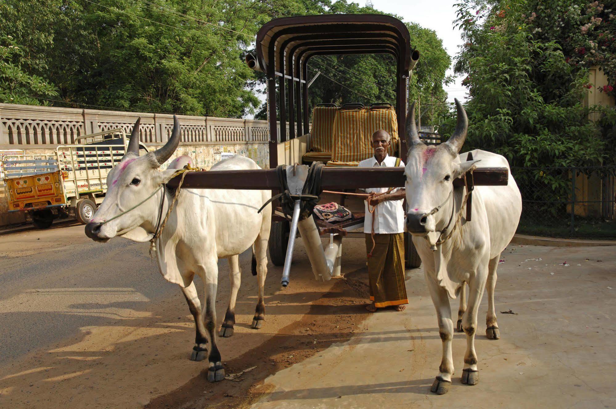 Visalam Chettinad Palace - A Cgh Earth Experience Kanadukattan Екстер'єр фото